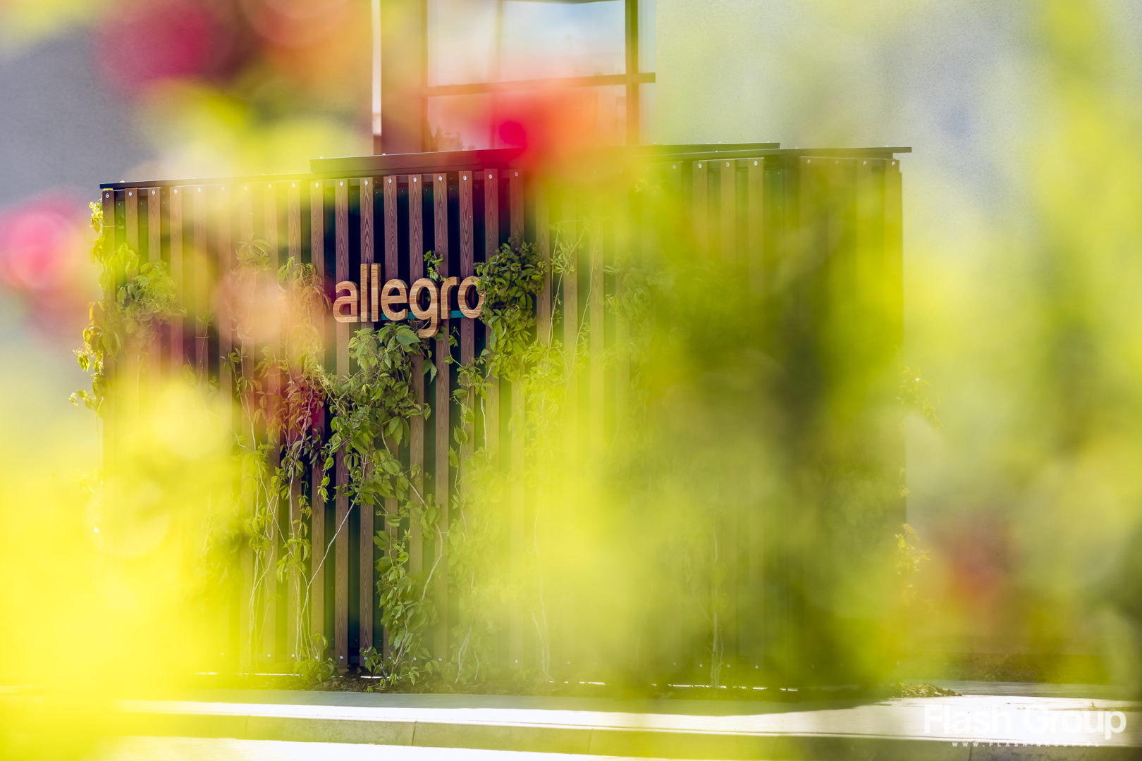 Fotografia reklamowa | Zielone automaty paczkowe Allegro